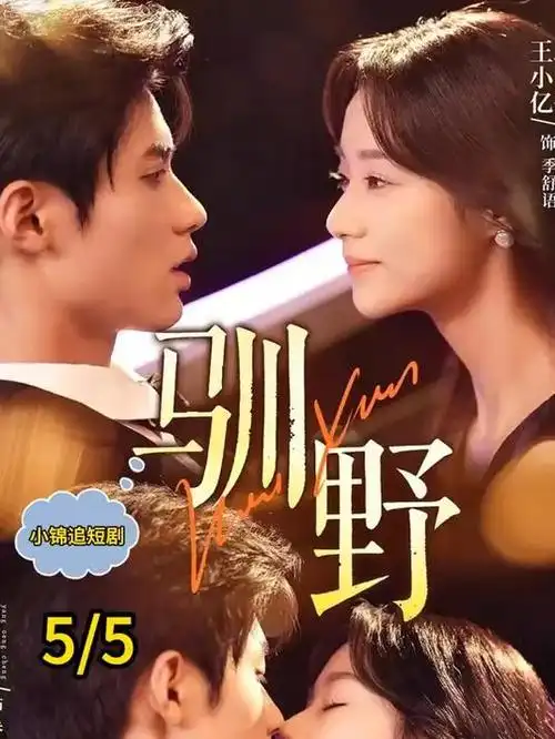 旧城第十七号悬疑剧全集